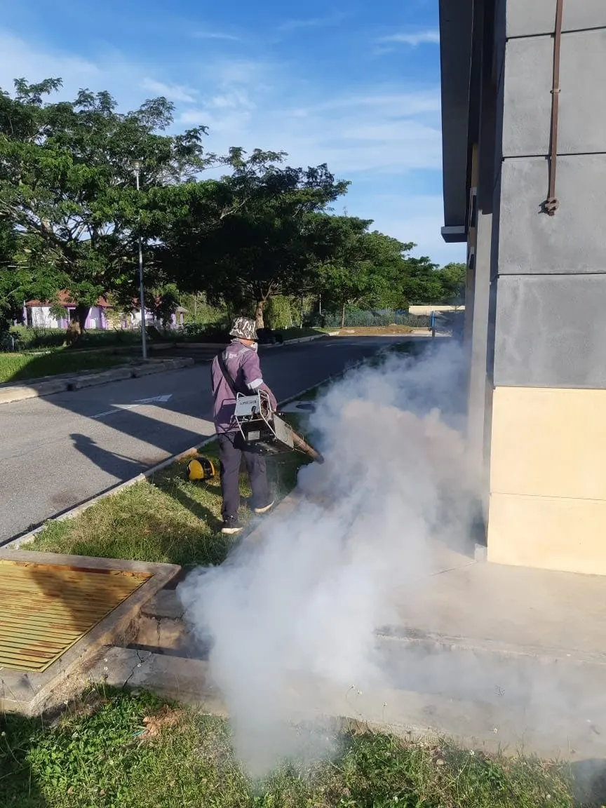 Mosquito Fogging