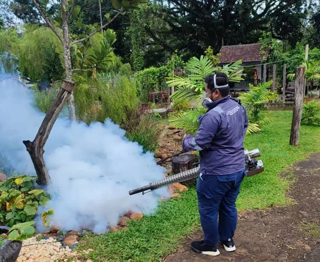 Fogging Treatment