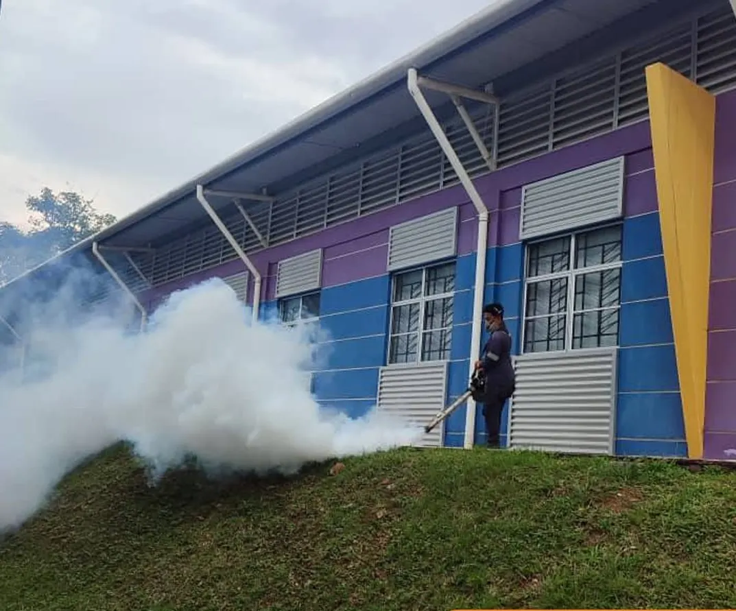 Professional Fogging