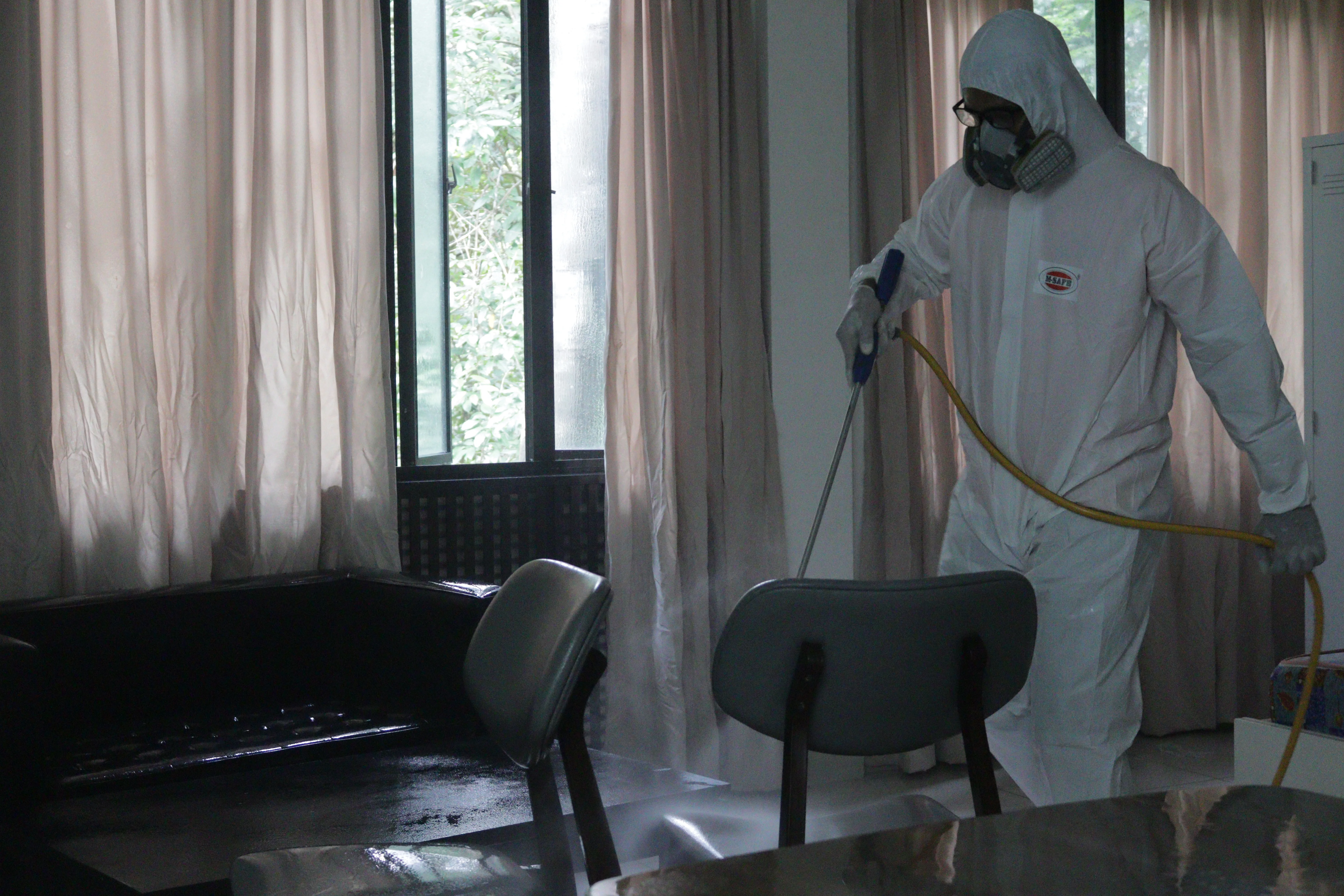 Professional Pest Control