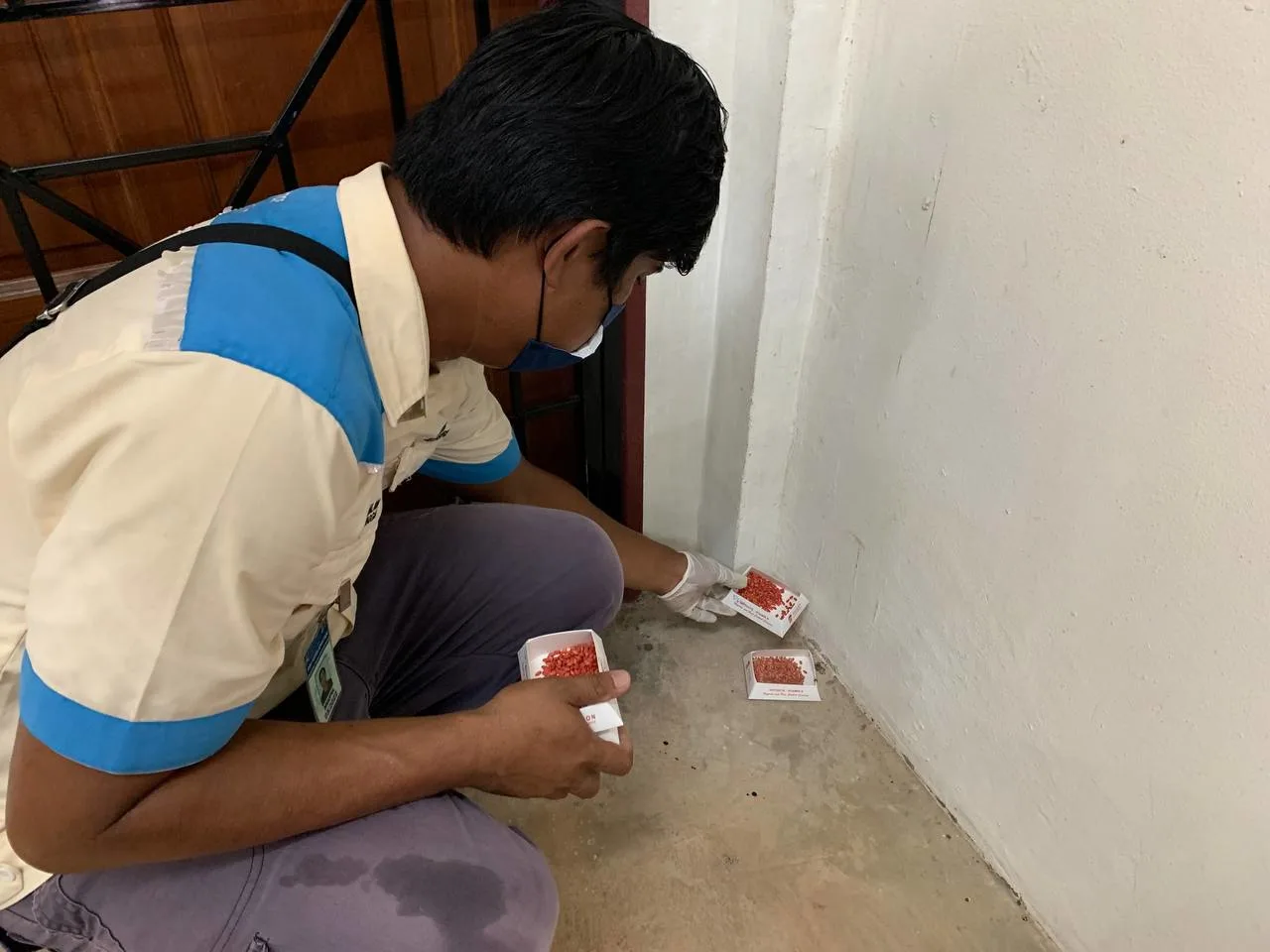 Pest Control Service
