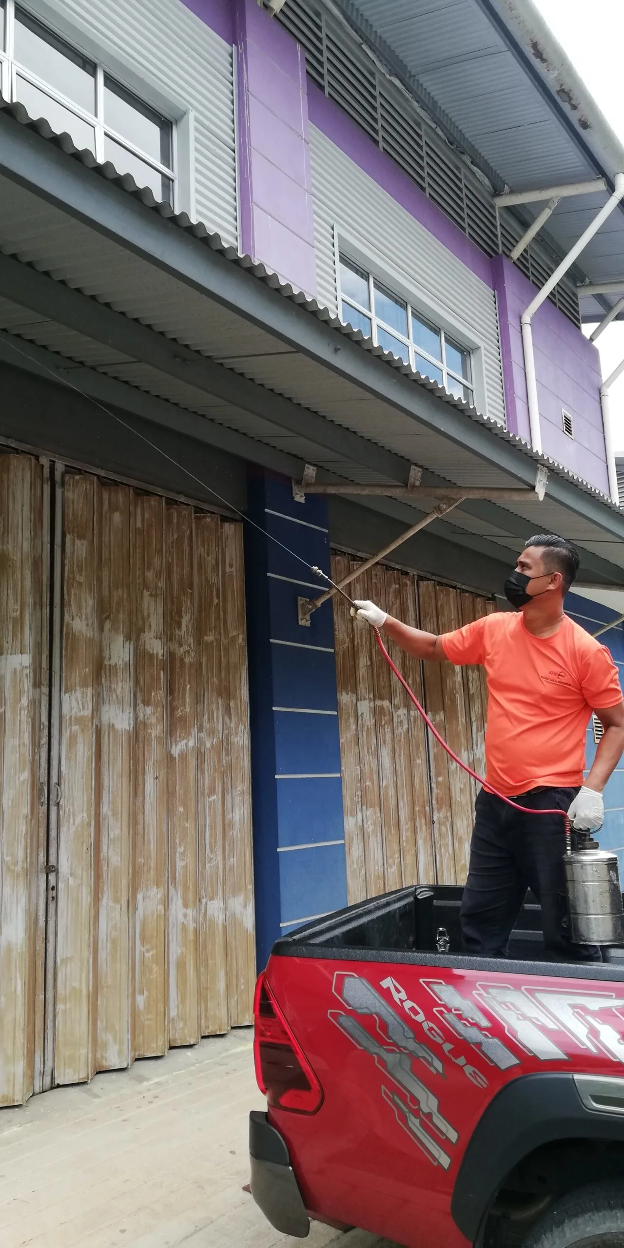 Professional Pest Control
